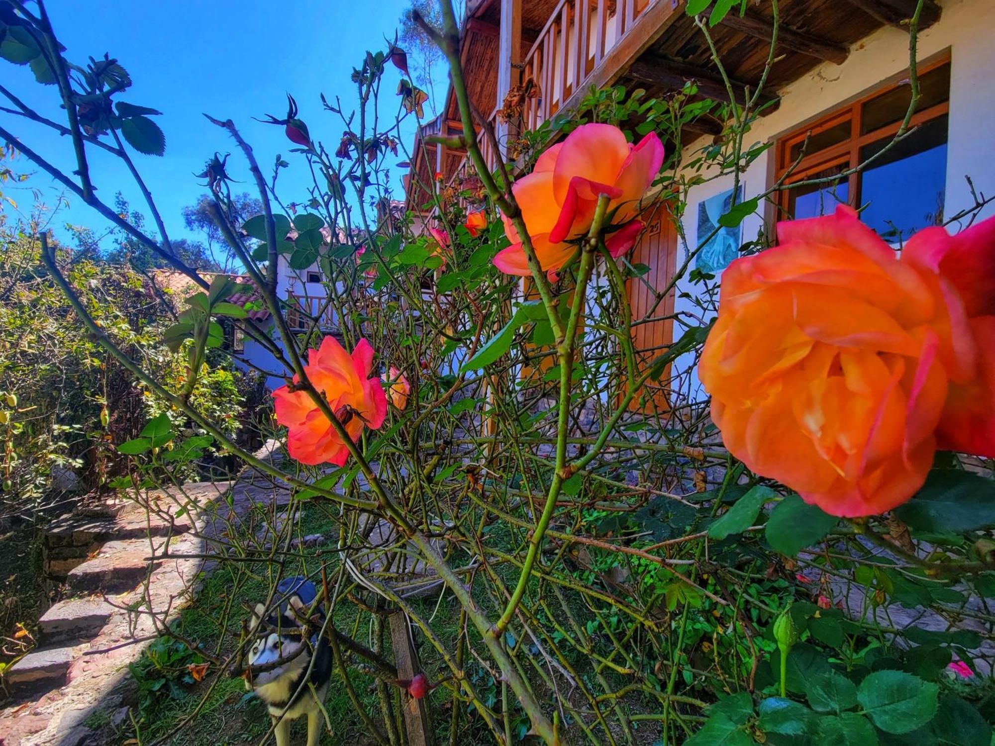 La Casa De Campo Куско Экстерьер фото